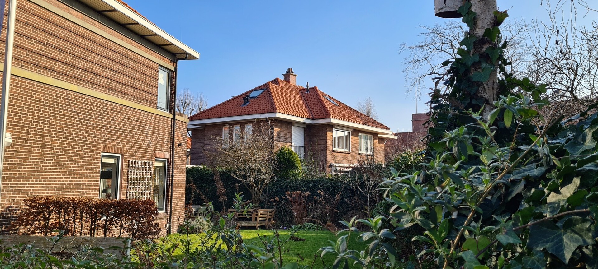 Vogelwijk Den Haag